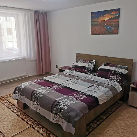 Apartament Bucovina Διαμέρισμα Câmpulung Moldovenesc Εξωτερικό φωτογραφία