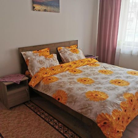 Apartament Bucovina Διαμέρισμα Câmpulung Moldovenesc Εξωτερικό φωτογραφία