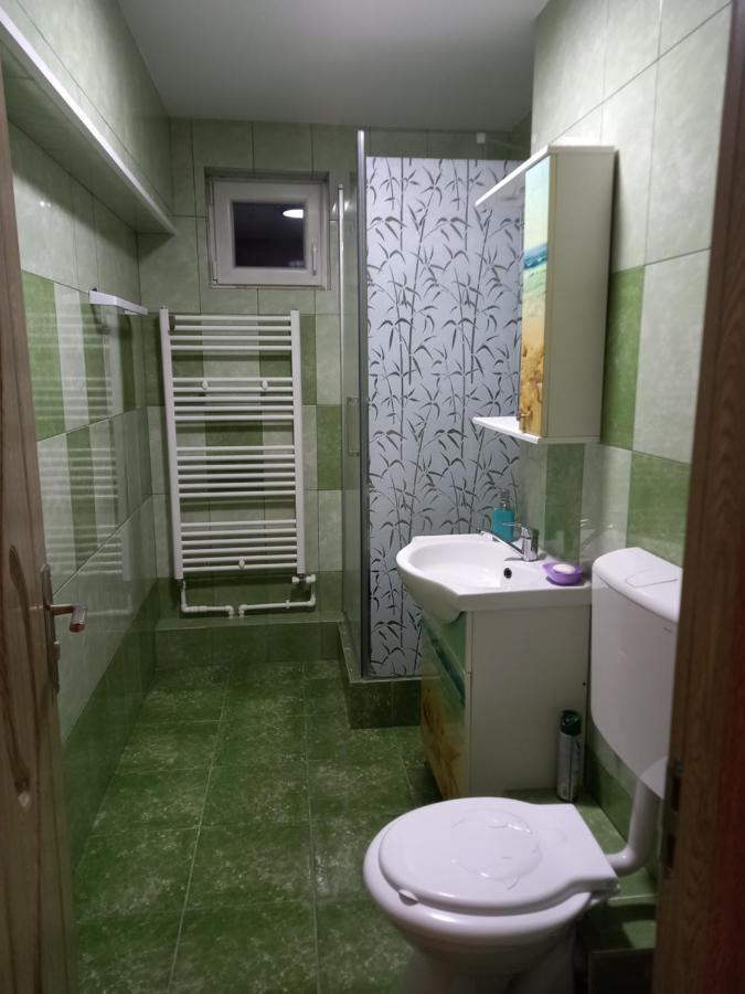 Apartament Bucovina Διαμέρισμα Câmpulung Moldovenesc Εξωτερικό φωτογραφία