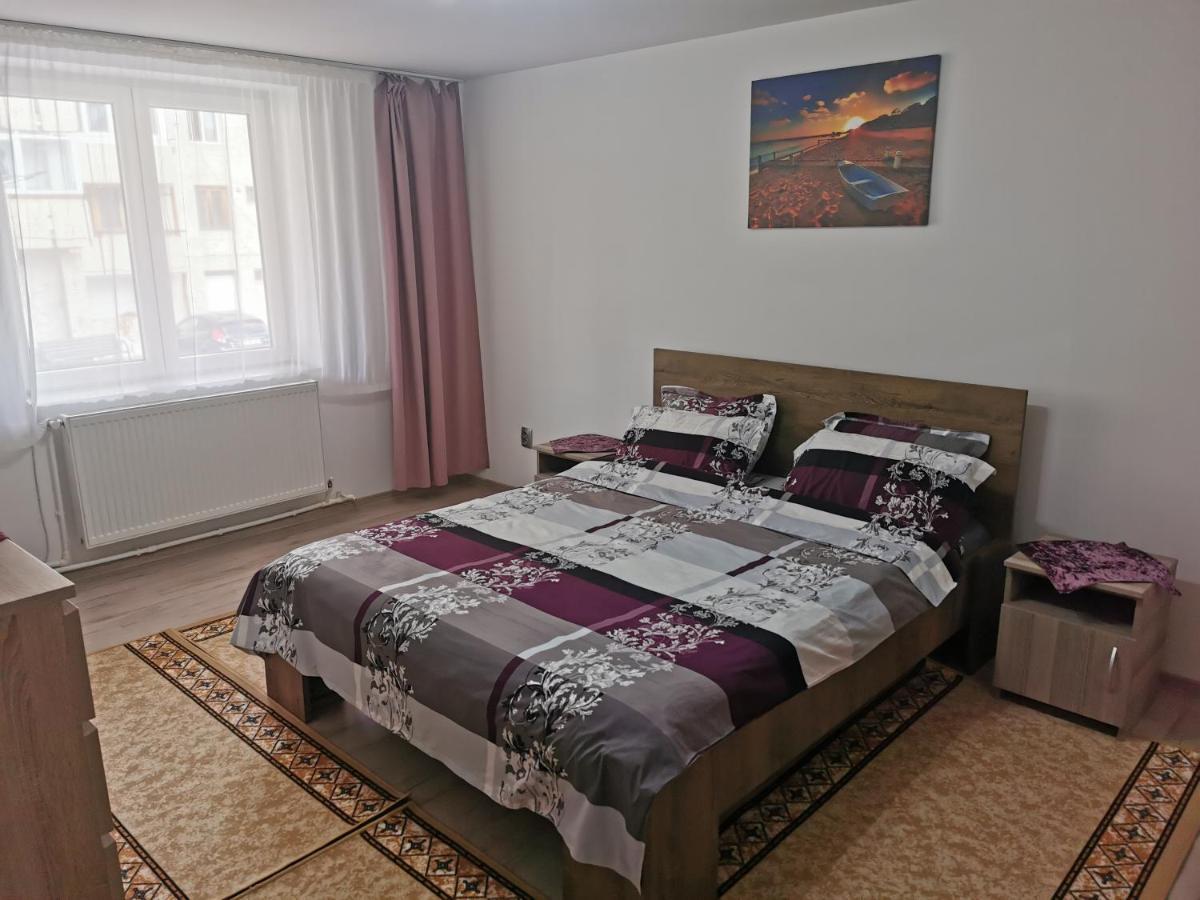 Apartament Bucovina Διαμέρισμα Câmpulung Moldovenesc Εξωτερικό φωτογραφία