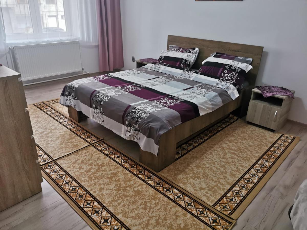 Apartament Bucovina Διαμέρισμα Câmpulung Moldovenesc Εξωτερικό φωτογραφία