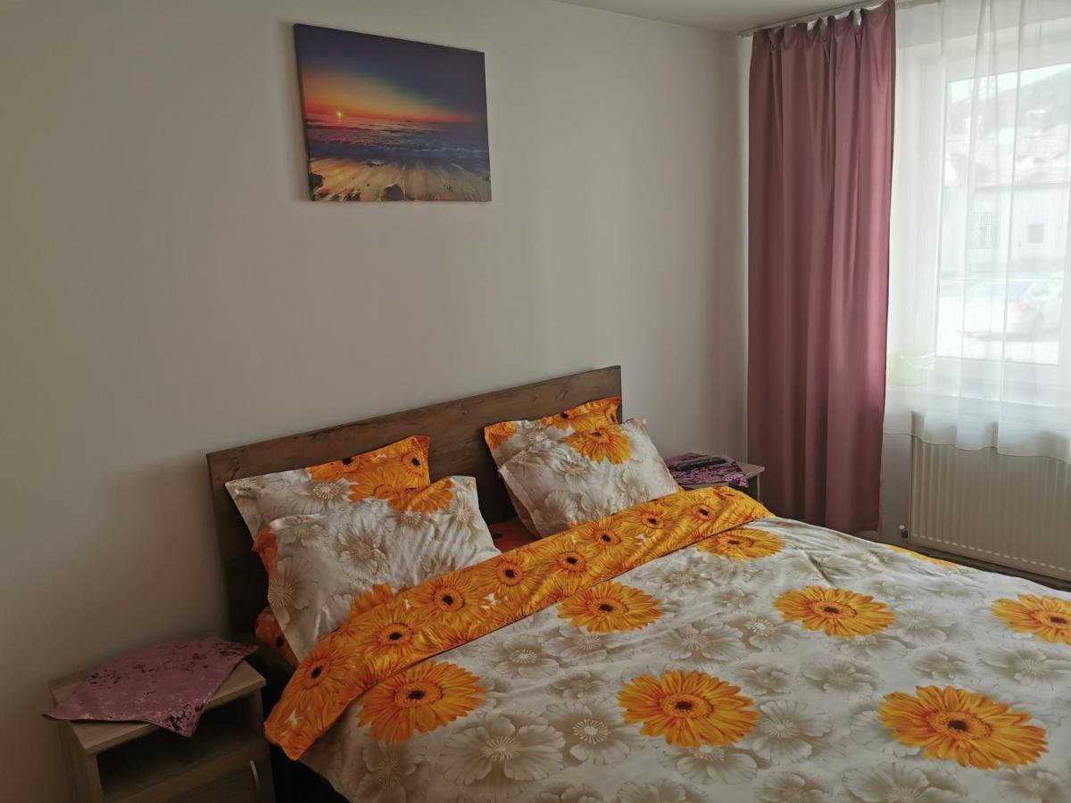 Apartament Bucovina Διαμέρισμα Câmpulung Moldovenesc Εξωτερικό φωτογραφία