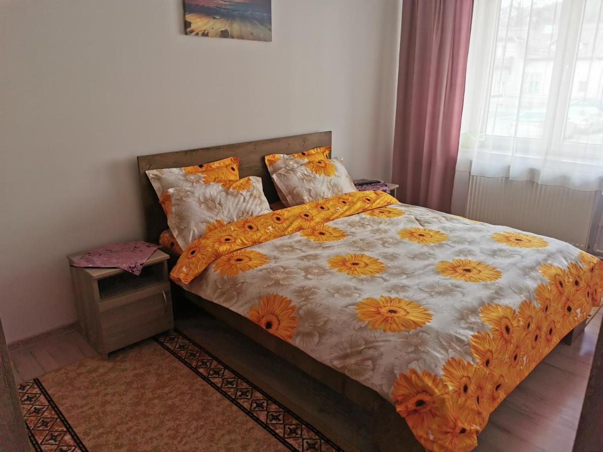 Apartament Bucovina Διαμέρισμα Câmpulung Moldovenesc Εξωτερικό φωτογραφία
