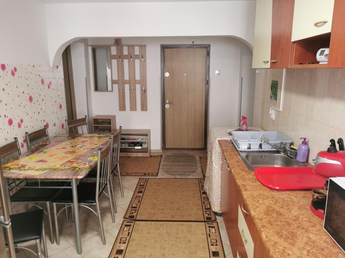 Apartament Bucovina Διαμέρισμα Câmpulung Moldovenesc Εξωτερικό φωτογραφία